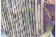 Hà nội how to make bamboo furniture